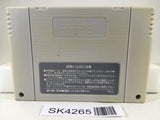 SK4265 Torneco no Daibouken Fushigi no Dungeon Nintendo Super Famicom SNES Japan