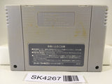 SK4267 Banshee's Last Cry Kamaitachi no Yoru Nintendo Super Famicom SNES Japan