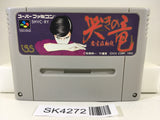 SK4272 Mahjong Hisshou Den Naki no Ryuu Nintendo Super Famicom SNES Japan
