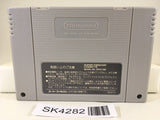SK4282 Super Fire Pro Wrestling Special Nintendo Super Famicom SNES Japan