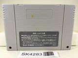 SK4283 TMNT Turtles Mutant Warriors Nintendo Super Famicom SNES Japan