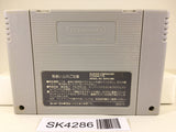 SK4286 Batman Returns Nintendo Super Famicom SNES Japan