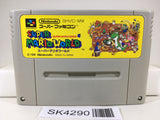 SK4290 Super Mario World Nintendo Super Famicom SNES Japan