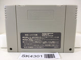 SK4301 Mario's Super Picross Nintendo Super Famicom SNES Japan