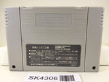 SK4306 Super Donkey Kong Country Nintendo Super Famicom SNES Japan