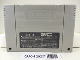 SK4307 Super Donkey Kong Country 2 Nintendo Super Famicom SNES Japan