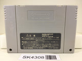 SK4308 Super Donkey Kong Country 2 Nintendo Super Famicom SNES Japan