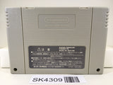 SK4309 Super Donkey Kong Country 3 Nintendo Super Famicom SNES Japan