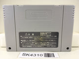 SK4310 Super Donkey Kong Country 3 Nintendo Super Famicom SNES Japan