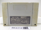 SK4312 Street Fighter II 2 Nintendo Super Famicom SNES Japan
