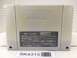 SK4313 Street Fighter II 2 Nintendo Super Famicom SNES Japan