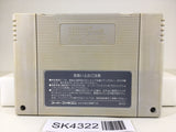 SK4322 Dragon Ball Z Super Butouden 2 Nintendo Super Famicom SNES Japan
