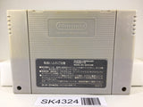 SK4324 Dragon Ball Z Super Saiya Densetsu Nintendo Super Famicom SNES Japan