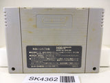 SK4362 Bastard!! Ankoku no Hakaishin Nintendo Super Famicom SNES Japan