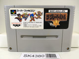 SK4380 The Great Battle 5 V Nintendo Super Famicom SNES Japan