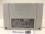 SK4391 Rockman & Forte Megaman & Bass Nintendo Super Famicom SNES Japan