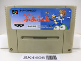 SK4406 Super Puyo Puyo Nintendo Super Famicom SNES Japan