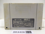 SK4406 Super Puyo Puyo Nintendo Super Famicom SNES Japan