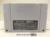 SK4408 Super Puyo Puyo Nintendo Super Famicom SNES Japan