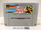 SK4420 Waratte Iitomo! Tamorin Pick Nintendo Super Famicom SNES Japan