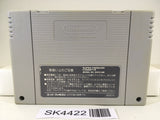 SK4422 Super Pang Nintendo Super Famicom SNES Japan