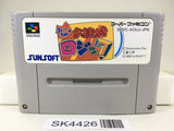 SK4426 Ochan no Oekaki Logic Nintendo Super Famicom SNES Japan