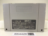 SK4426 Ochan no Oekaki Logic Nintendo Super Famicom SNES Japan