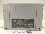 SK4436 F Zero Nintendo Super Famicom SNES Japan