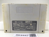 SK4447 Super Fire Pro Wrestling Nintendo Super Famicom SNES Japan