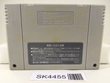SK4455 Super Mario Kart Nintendo Super Famicom SNES Japan