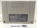 SK4467 Final Fight 2 Nintendo Super Famicom SNES Japan