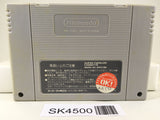 SK4500 Final Fantasy 5 V Nintendo Super Famicom SNES Japan