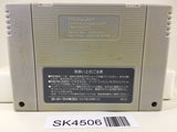 SK4506 The Legend Of Zelda A Link to the Past Nintendo Super Famicom SNES Japan