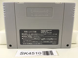 SK4510 Chou Makaimura Super Ghouls 'n Ghosts Nintendo Super Famicom SNES Japan