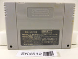 SK4512 Gaia Gensouki Illusion of Gaia Time Nintendo Super Famicom SNES Japan