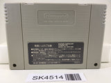 SK4514 Knights of the Round Nintendo Super Famicom SNES Japan