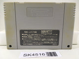 SK4516 AD&D Eye Of The Beholder Nintendo Super Famicom SNES Japan