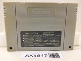 SK4517 ActRaiser Nintendo Super Famicom SNES Japan