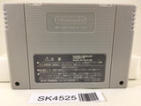 SK4525 Star Fox Nintendo Super Famicom SNES Japan