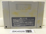 SK4526 Dimension Force Nintendo Super Famicom SNES Japan