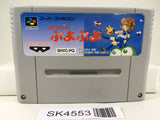 SK4553 Super Puyo Puyo Nintendo Super Famicom SNES Japan