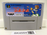 SK4554 Super Puyo Puyo Nintendo Super Famicom SNES Japan