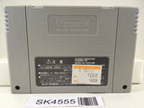 SK4555 Super Puyo Puyo 2 Remix Tsu Nintendo Super Famicom SNES Japan