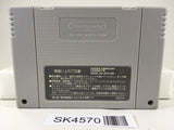 SK4570 Gokujou Parodius Fantastic Journey Nintendo Super Famicom SNES Japan