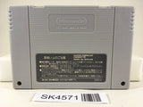 SK4571 Super Bomberman Panic Bomber World Nintendo Super Famicom SNES Japan