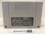 SK4572 TheTwisted TalesOf Spike McFang Nintendo Super Famicom SNES Japan