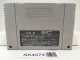 SK4574 Libble Rabble Nintendo Super Famicom SNES Japan