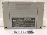 SK4589 Jigsaw Party Pieces Nintendo Super Famicom SNES Japan