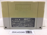SK4596 F Zero Nintendo Super Famicom SNES Japan