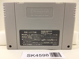 SK4598 Waku Waku Ski Wonder Spur Nintendo Super Famicom SNES Japan